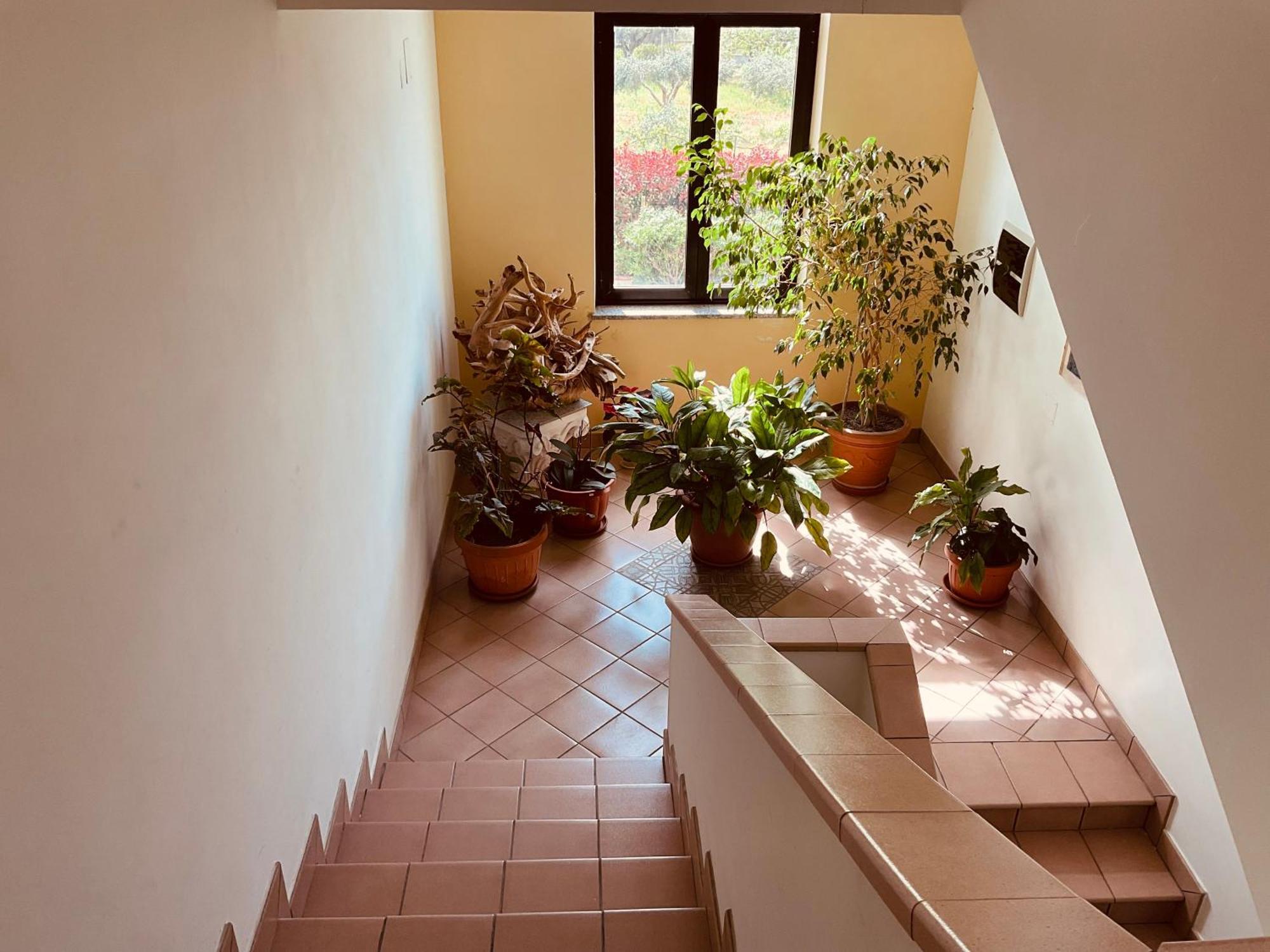 Casa Demetra