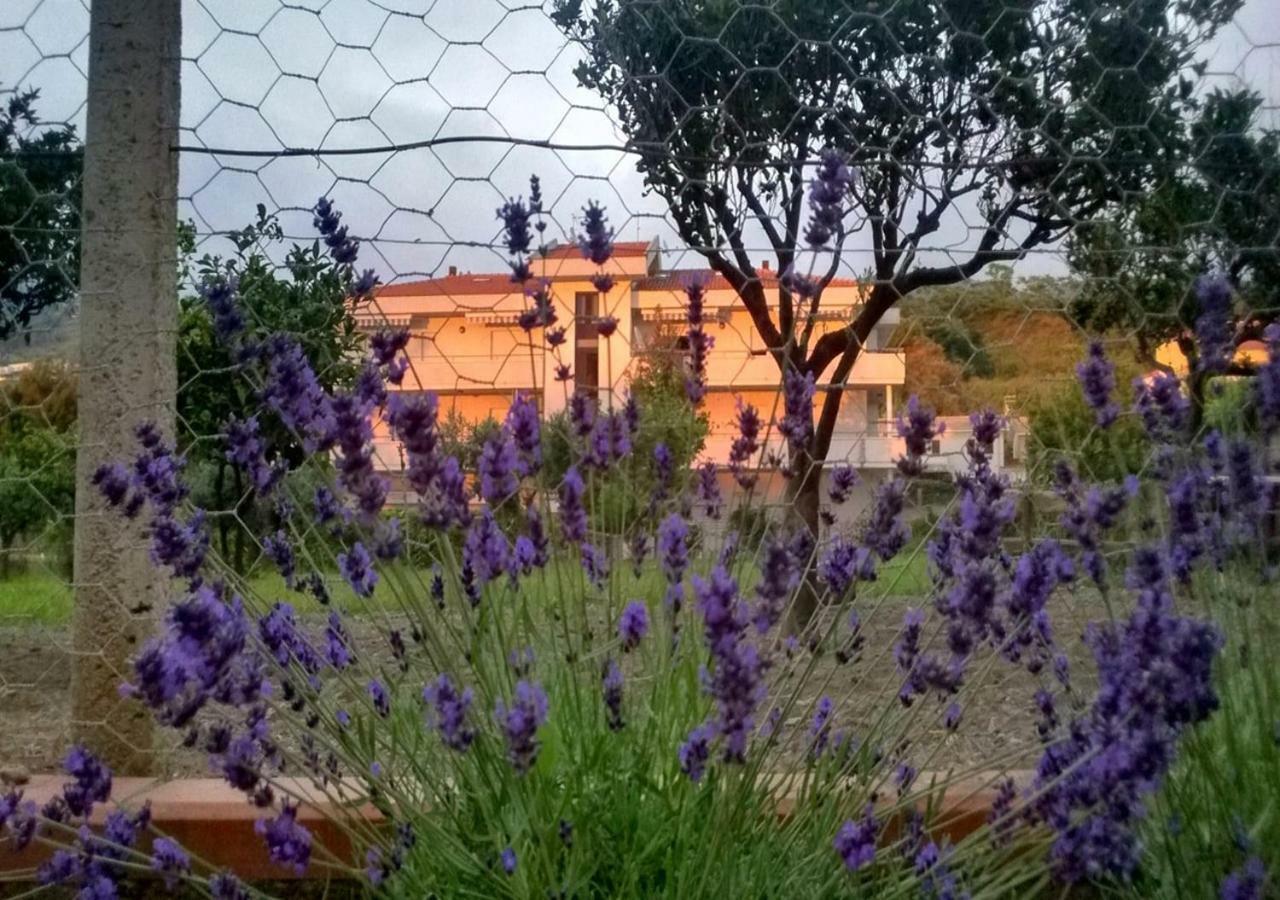 Casa Demetra Apartment